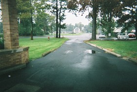 View from our building main entrance to the parking area.