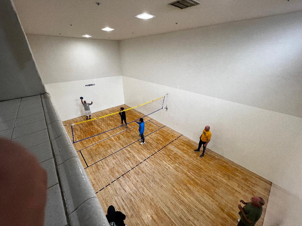 Wallyball Court