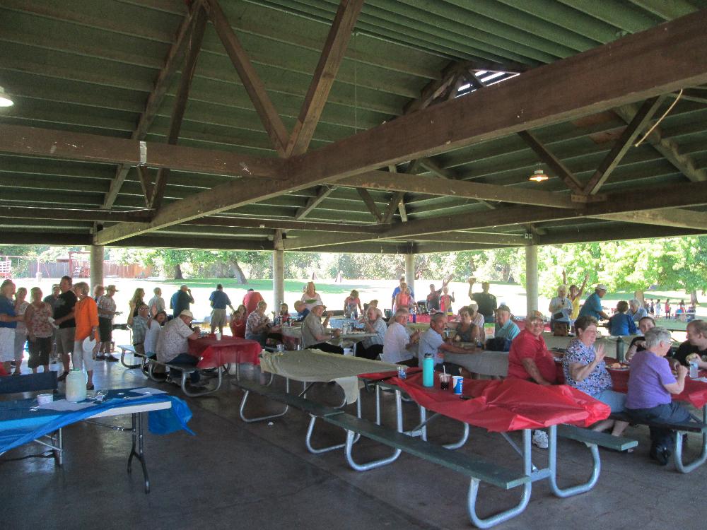 2017 picnic crowd