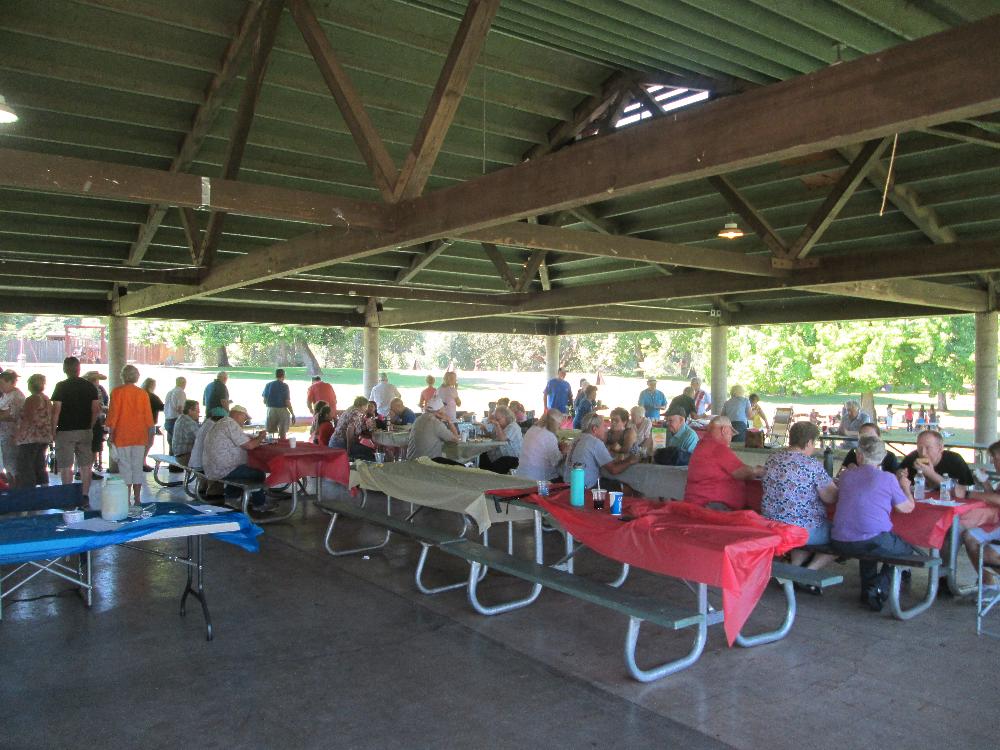 picnic crowd