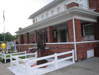 Elk Statue Donated by Ladies Auxiliary 2007