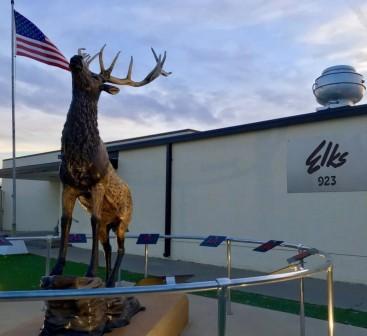 Amarillo Elks 923