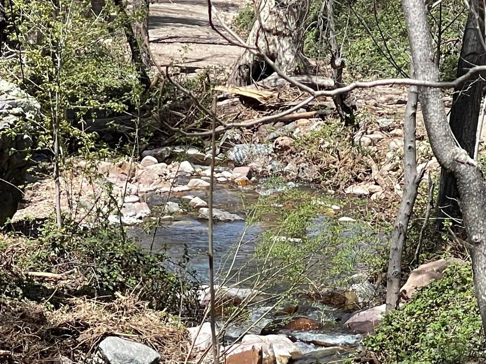 The Jack Warter Youth Camp, an Arizona Elks Association Major Project, is located on Workman Creek between Globe and Young.