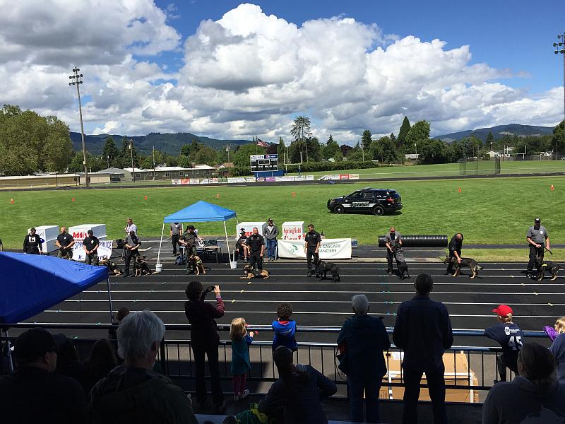 Thanks to the many people involved, the 2016 K-9 Competition in Springfield was a success.