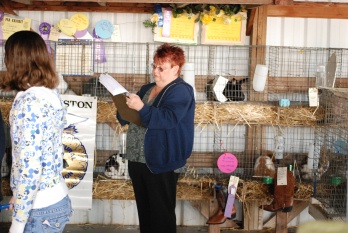 Gloria Hetterley volunteers as a Judge at the Junior Show.