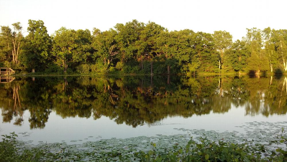 View of our lake from our deck :-) 