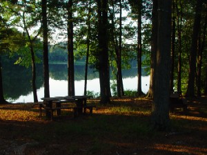 Picnic time