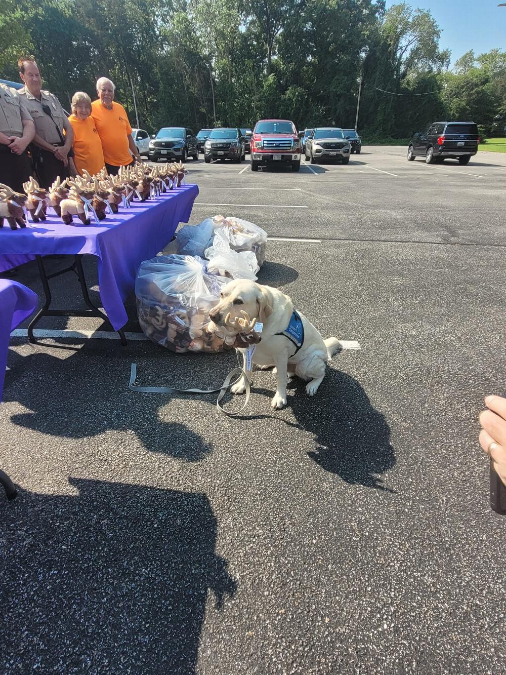 Stuffed Elks for Children